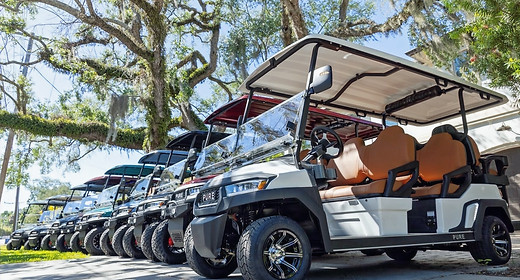 Pure-EV-Golf-Carts-for-Sale-_-model-line-up-e1713996699197_edited.jpg
