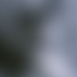 Full Moon Year End Sensual Reflection and Touch