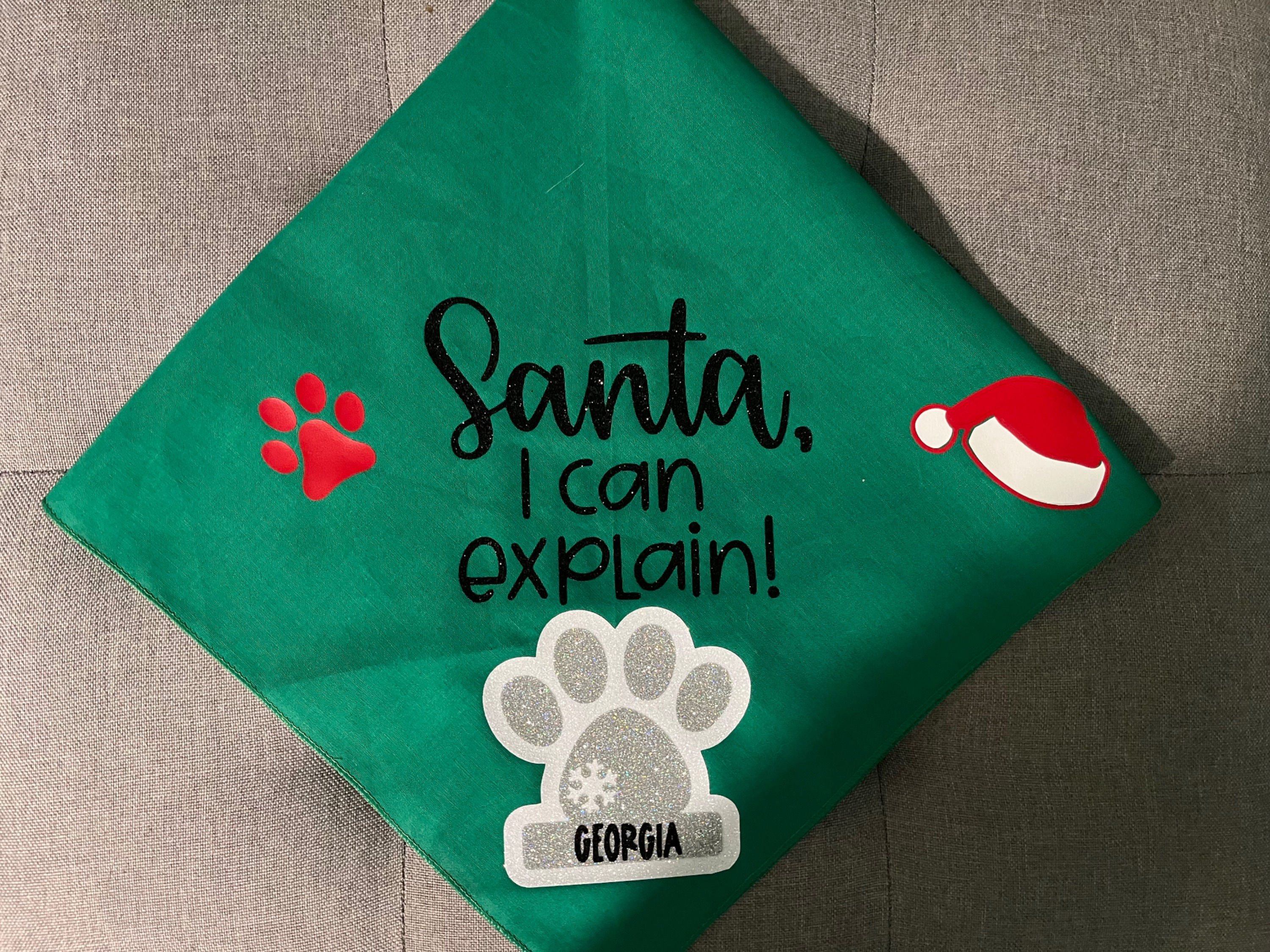 Santa I Can Explain Bandanna
