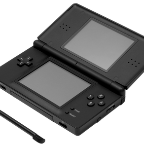The Thing About My Nintendo DS