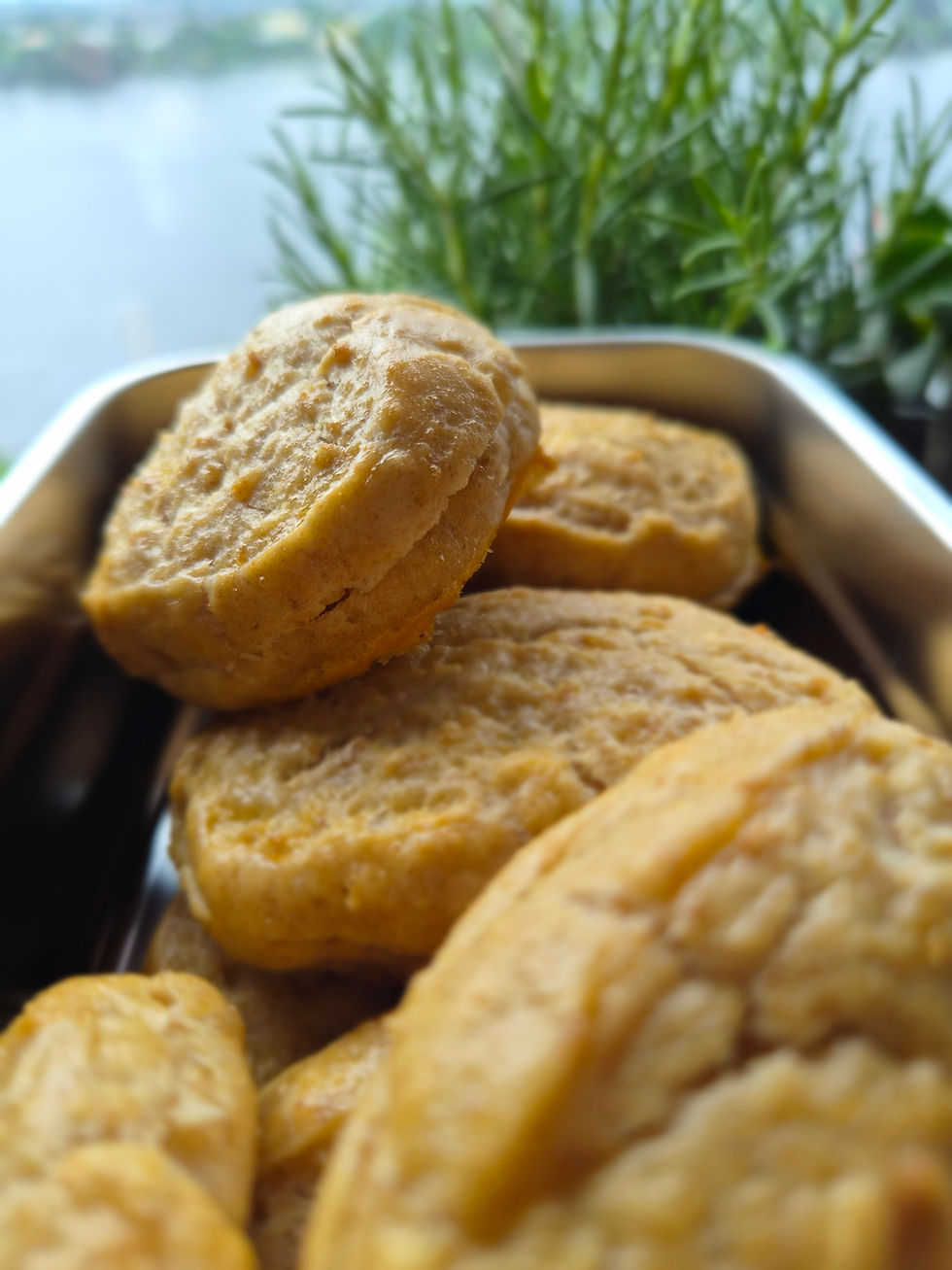 Easy Soft Emmer Scones