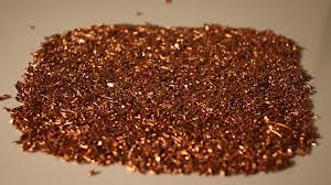 COBRE 1.jpg