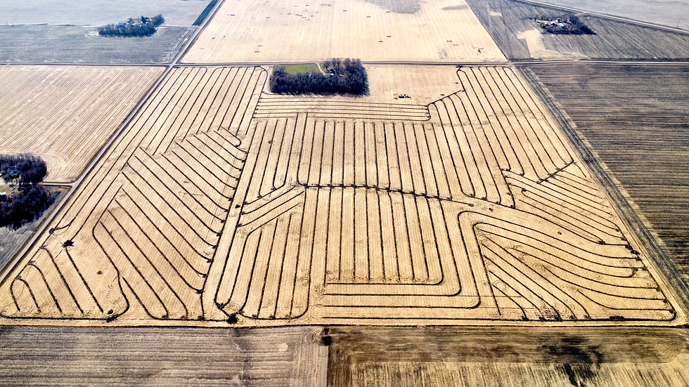 dji_fly_20221030_111936_59_1667146791787_photo_optimized.HEIC
