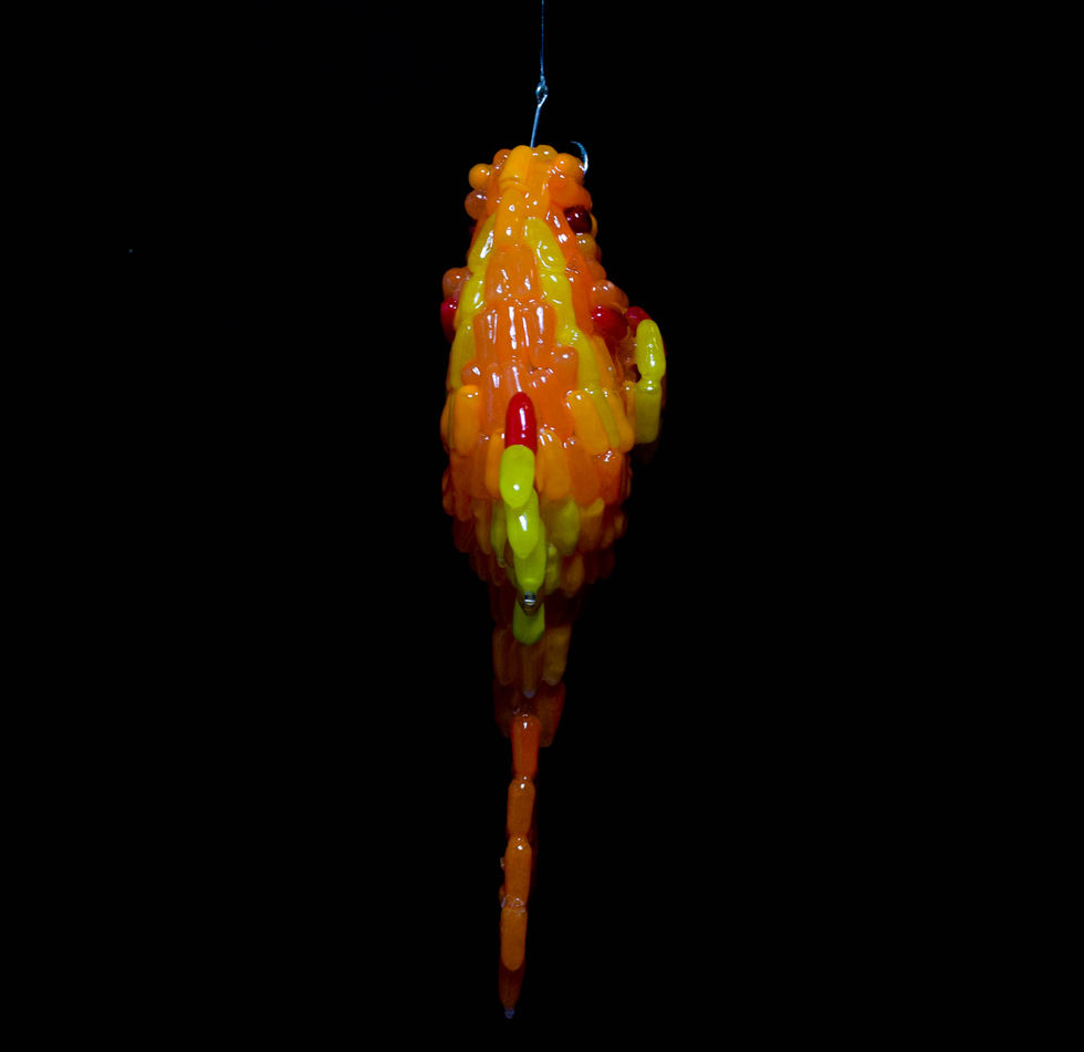 Fish 4_Original