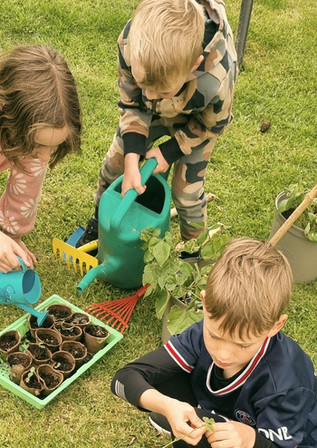 Planting and Watering