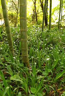L1001851.jpg