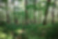 _O1A0933-Avec accentuation-Bruit.jpg