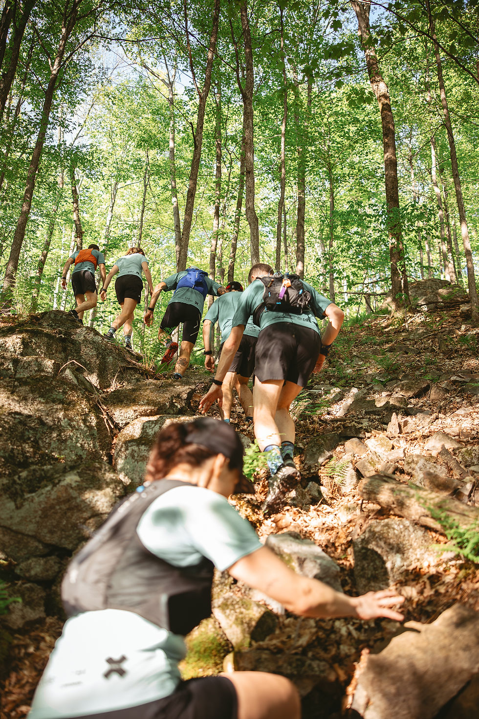 ATELIERS MAÎTRE GRIMPEUR