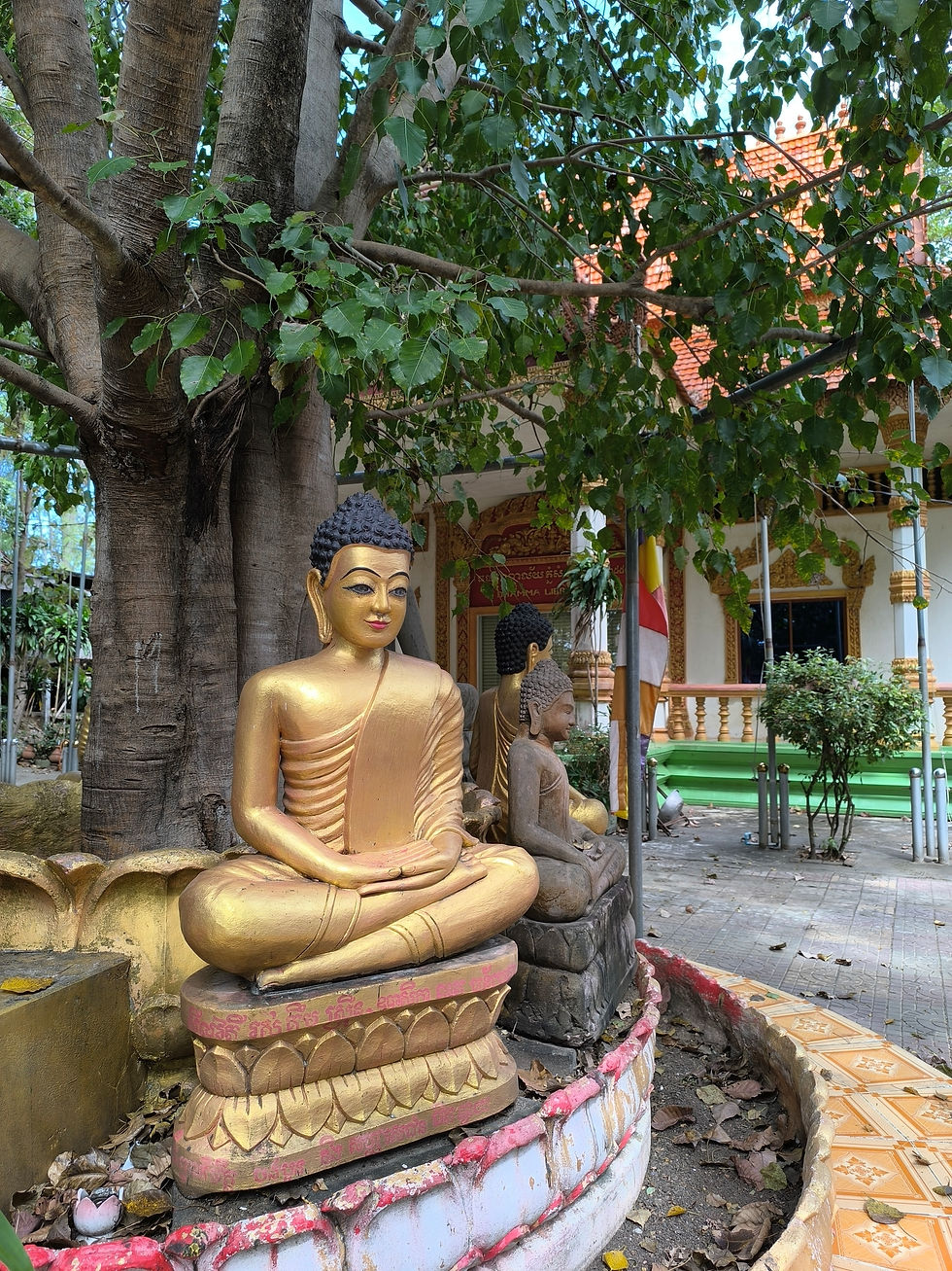 Voyage au cœur du bouddhisme cambodgien