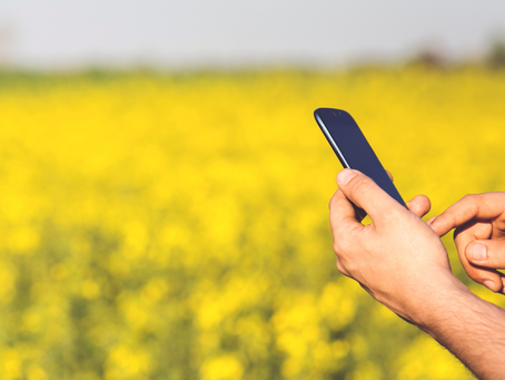 O que você ganha com a Consultoria Gratuita