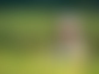 Qual a influência do crescimento do PIB da China nas produções de milho e soja do Brasil