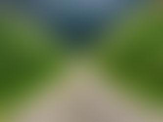 Brasil é o maior exportador de milho do mundo - como usar essa informação a seu favor