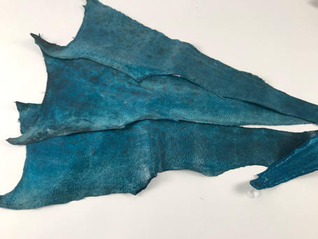 Go Fish - Fish Skin Leather