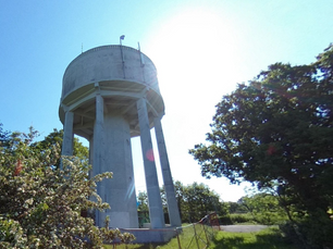 Burgess Hill Town Council considers renting out Batchelors Farm for long-term office spaces