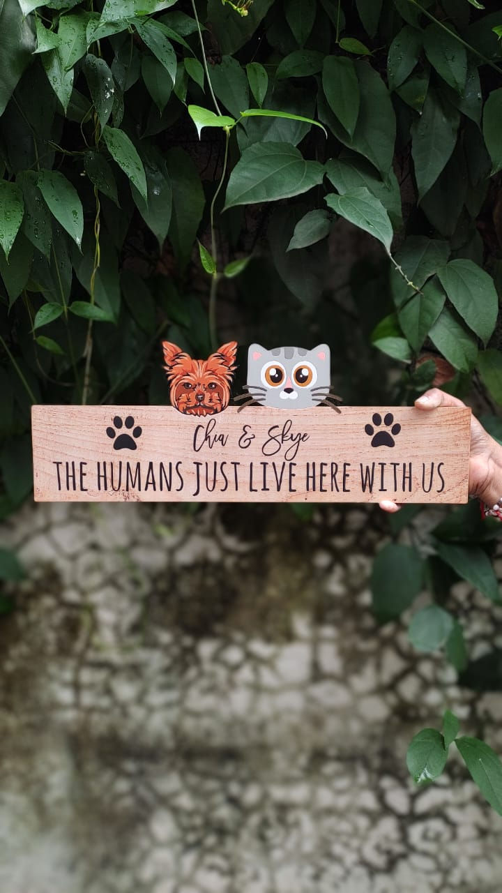 Thumbnail: Cat and dog on a nameplate