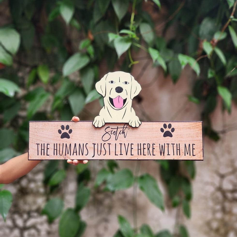 Thumbnail: white labrador nameplate