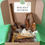 Thumbnail: Dental Health Box