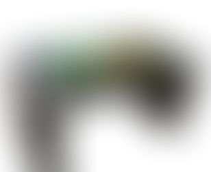 Kuidas valida interaktiivset lauda?