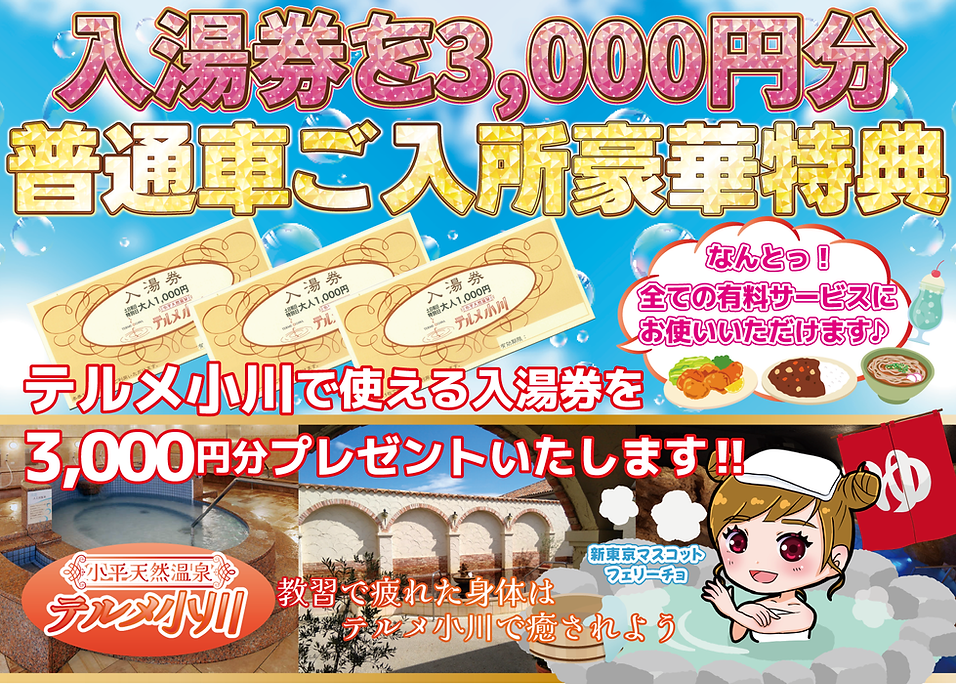 テルメ入湯券キャンペーン.png