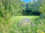 IMG-20260608-WA0036