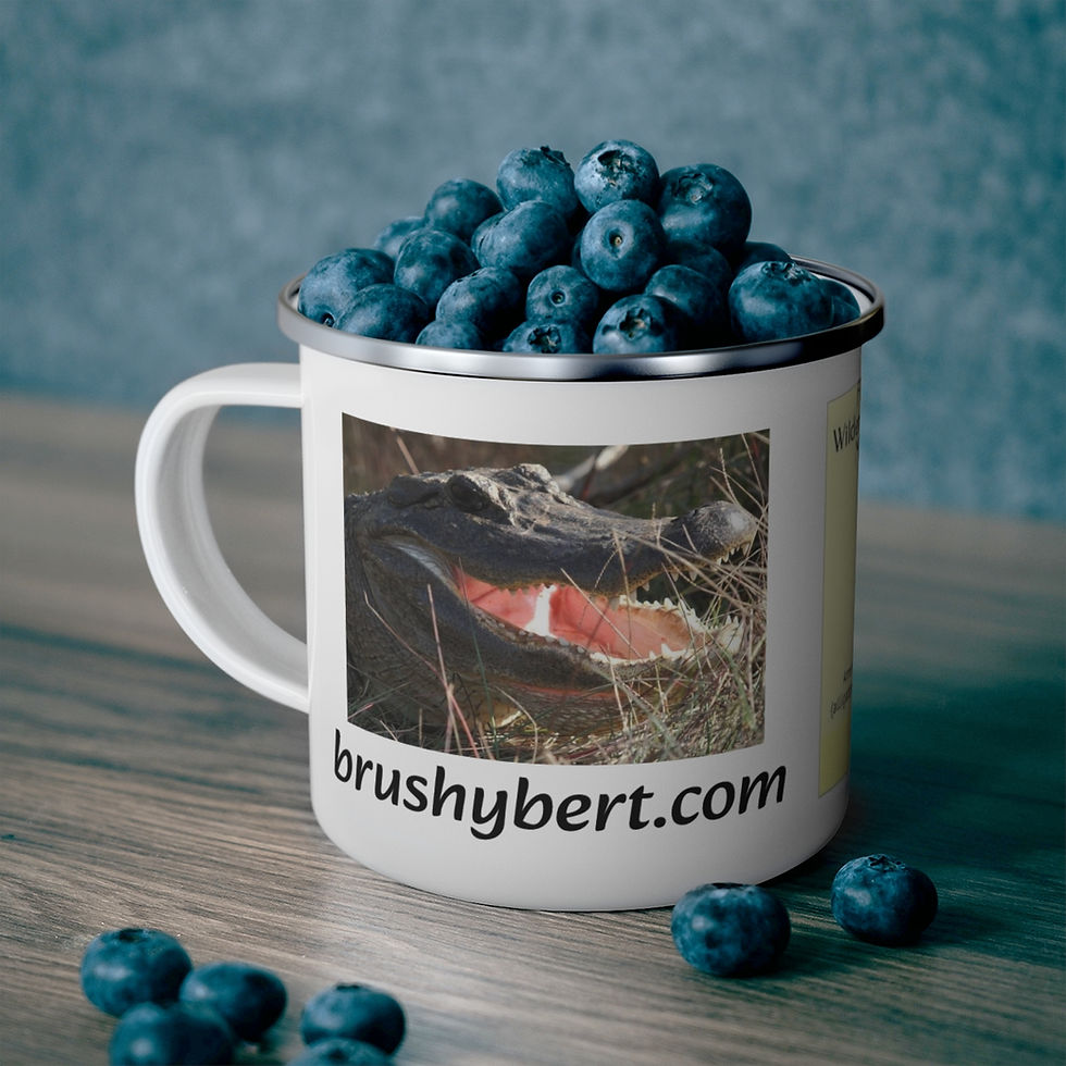 Thumbnail: FWSM Enamel Camping Mug
