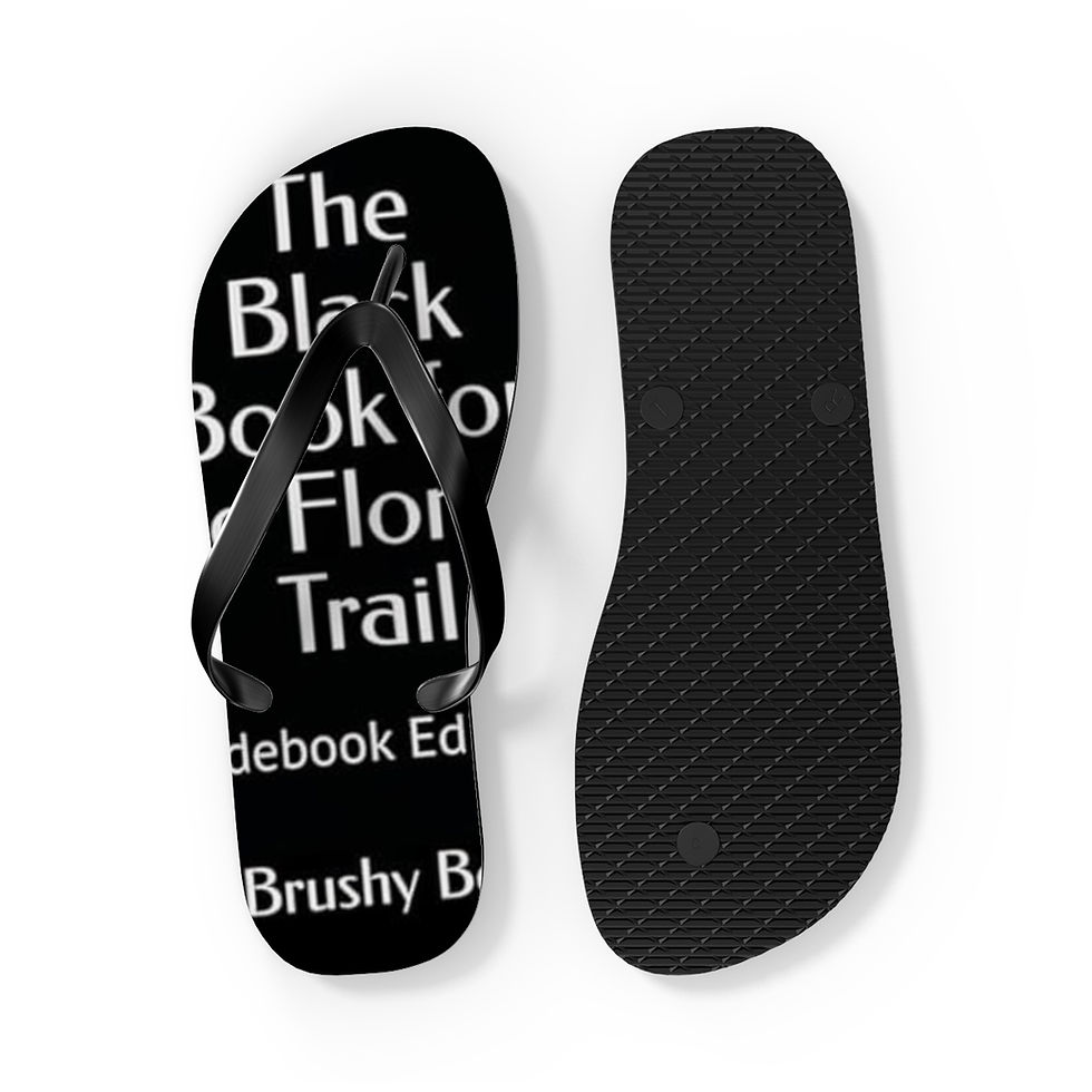 Thumbnail: The Black Book for the Florida Trail Flip Flops