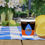 Thumbnail: Mosquito Republic Shot Glass