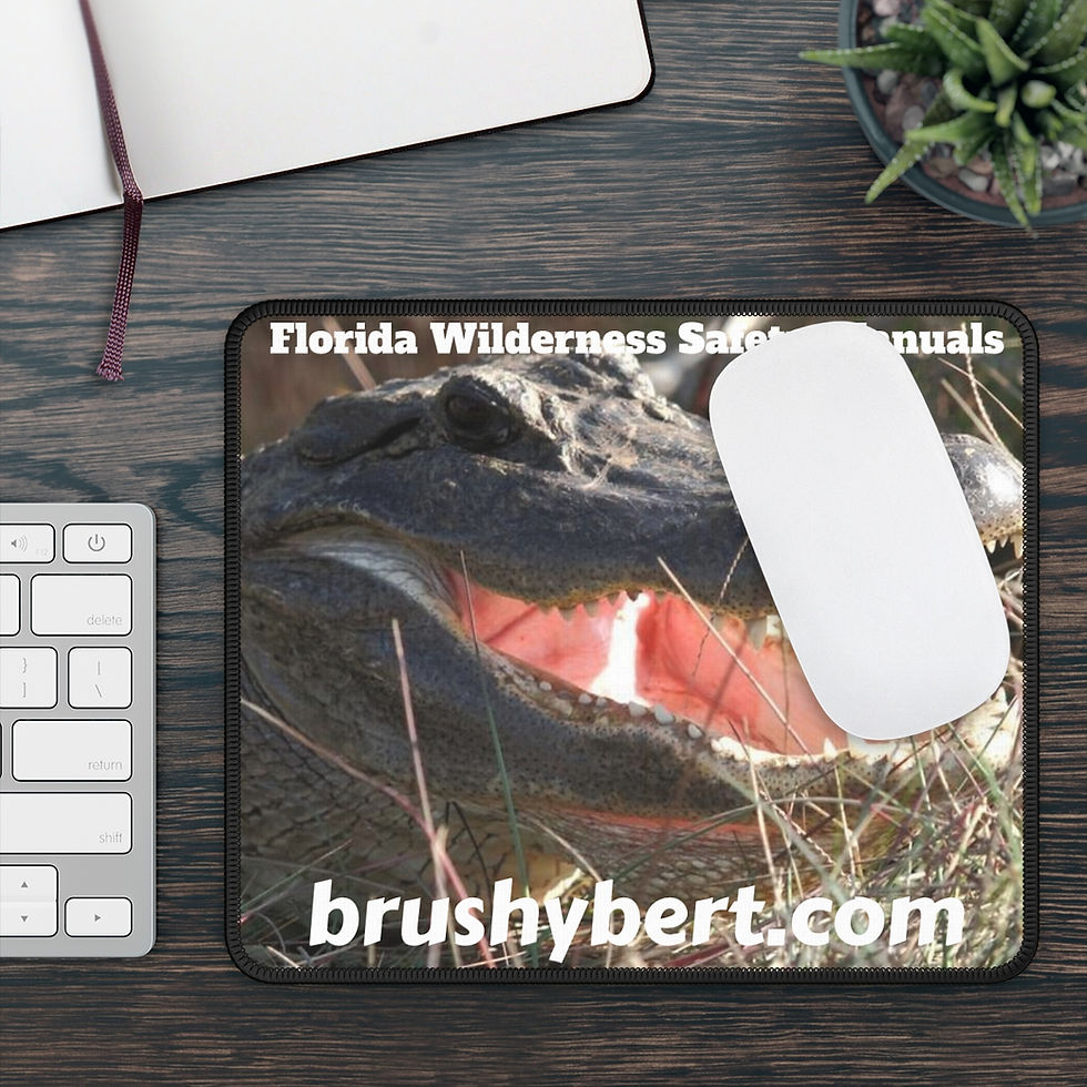 Thumbnail: FWSM Gaming Mouse Pad