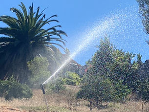 Fire sprinklers drenching a lush landscape to protect from wildfire