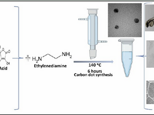 Revolutionizing Bioimaging with Carbon Dots: A Single-Step Low-Temperature Approach