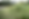 Flowers_3.png