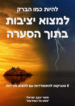 איך להתמודד עם לחצים וחרדות ולמצוא יציבות בתוך הסערה - ספר להתפתחות אישית - תומר יעקב ישראלי
