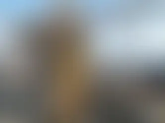 Yüksek katlı inşaat sahasında çalışan kule vinç genel görünümü