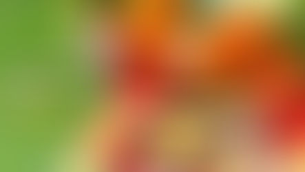 Hidropônicos vs Orgânicos - Você sabe a diferença?