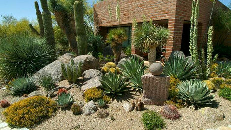 Tipos de Jardim - Jardim Desértico