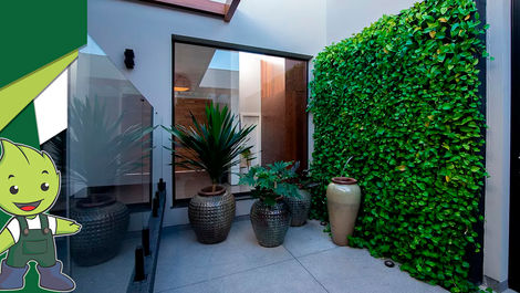 Jardins Verticais: tudo o que você precisa saber!