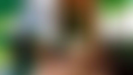 Inspirações e dicas para jardim na varanda.