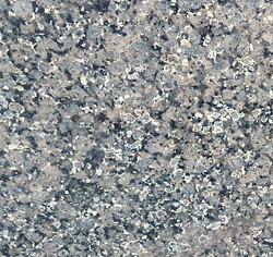Crystal BROWN
