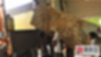 Indian Granite Exporter Alaska Gold Slab