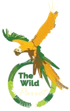 Miniature : Logo de la marque de rhum The Wild Parrot