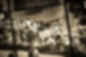 My Golden Reflection-2 resize.jpg