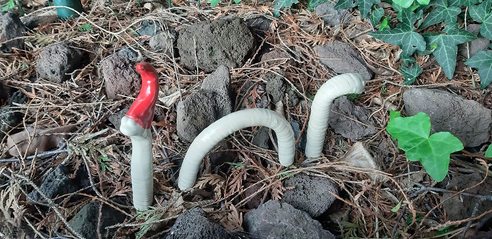 20190506_194118 (Gemiddeld).jpg