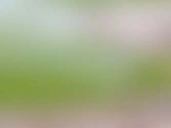 An irrigation system in a garden. 