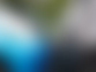 Steps to Take After an Auto Accident in Algoma: Legal Advice You Can Trust