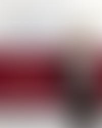 Dr. Anna Banaszewska ist die Anwältin des Jahres!