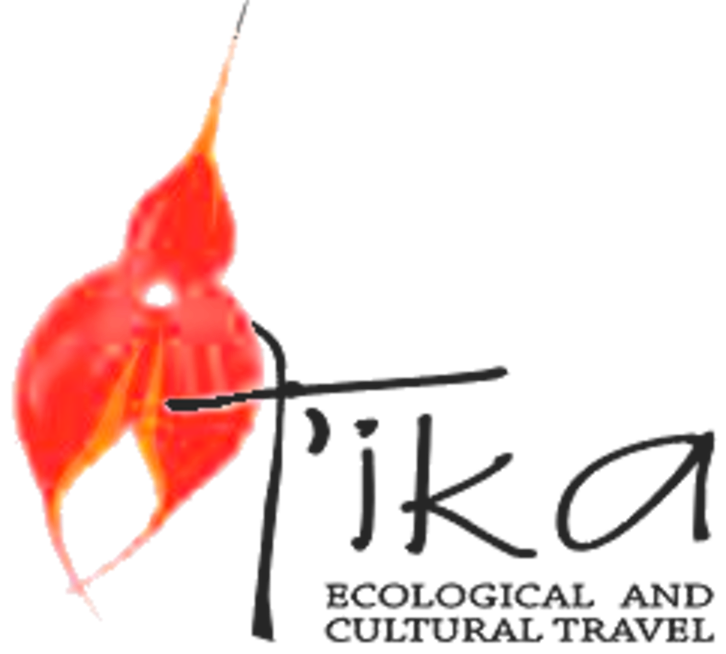 Tika Ecological logo