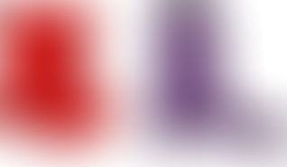 Dear Gaila - Reading Preparation part II