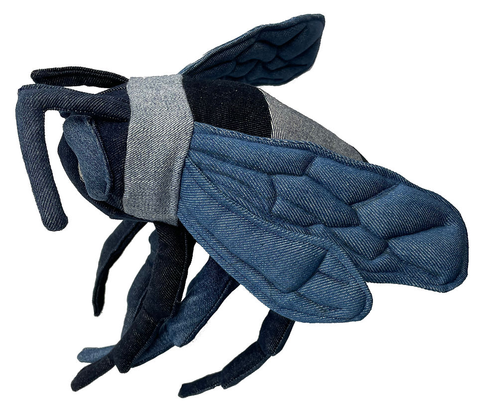 Thumbnail: DENIM LONG LEG BEE