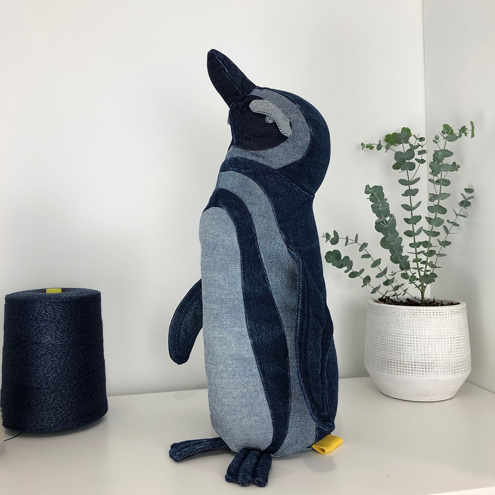 DENIM GALAPAGOS PENGUIN