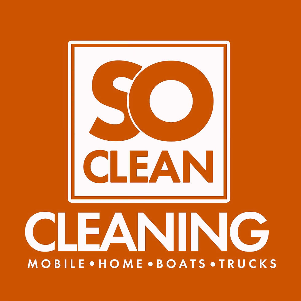 SO CLEAN LOGO ORANGE reverse
